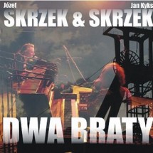 Dwa Braty (2008)